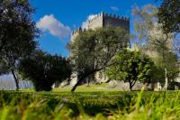 Guimarães puts Portugal’s green ambitions in spotlight