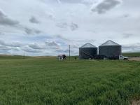 USDA Rolls Out Measure To Address Economic, Production Challenges