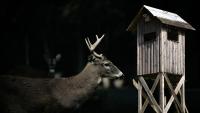 Missouri Hunters Say Large Creature Destroyed Their Deer Stand