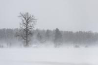 Farmers' Almanac 2026 Winter Forecast For South Dakota