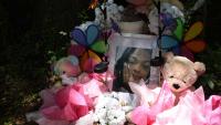 What we know about the hanging death of Tasia Fortune in Mississippi