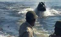 Astonishing moment a hippo chases tourists through the water and keeps up with their speeding boat