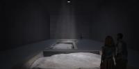 Inhotim founder Bernardo Paz to launch new contemporary art museum for Brazil