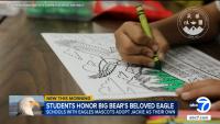 Bald eagle Jackie's death turns into lesson in nature and grief for SoCal students