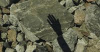 Being Addressed by the World: A Ph.D. in the More-Than-Human