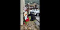 Tennessee bear raids jelly bean machine as stunned tourist captures encounter
