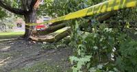 Public work crews out clearing debris, National Weather Service gathering reported impacts following last night’s storm