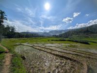 Building resilience through climate action: gender, peace, and security in Sri Lanka