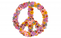 Building Anti-Militarist Strategies for a Feminist Future