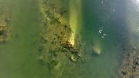 Severe heatwaves in Bulgaria reveal ancient Rome's Constantine Bridge hidden under Danube's waters