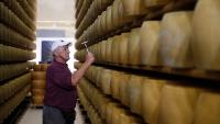 Extreme heat strains Italy's 'cheese banks,' where Parmigiano backs farm loans