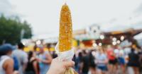 15 Best Things To Do, See, & Experience in the U.S. in August 2026