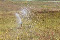 Purpose of WA Ecology’s water meetings leave irrigators baffled