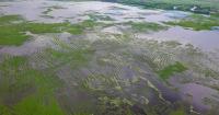 Research reveals how ancient farmers built an ‘engineering wonder’