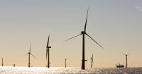 US 'overpaid' for cancelled wind leases, researcher finds