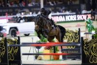 UAE Names Final Show Jumping Squad for  FEI World Championships Aachen 2026