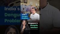 How Singapore Is Fighting Dengue With Mosquitoes
