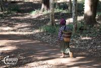 Indigenous Communities, CSOs Urge World Bank to Reconsider CAO’s Findings