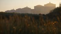 Jellyfish force shutdown of three reactors at France's Gravelines nuclear power plant