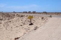 Occupied Western Sahara wind complex expands into Africa's top three