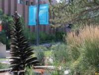 TRU partners with Canadian Centre for Diversity and Inclusion (Campus Life - Kamloops)