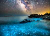 Intertidal: Bioluminescence is science, but still feels like magic