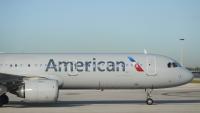 American Airlines plane strikes bird amid takeoff in South Carolina