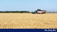 Global food system better prepared to weather El Niño: experts