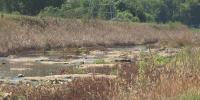 Huntsville residents voice concerns about chemicals sprayed around popular Huntsville creek