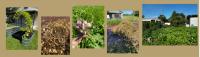 Building Soil, Suppressing Weeds, and Supporting Pollinators at The Nassau County Demonstration Garden