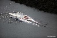 Iceland to deport antiwhaling protest ship’s crew after they interfered with whale hunt