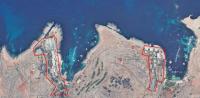 Comino trees: ERA decision on ”based on experts’ scientific advice and the laws of Malta”
