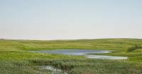 A New Legacy For North Dakota
