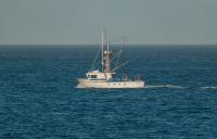 California representative introduces federal legislation to undo state’s emissions requirements for small vessels