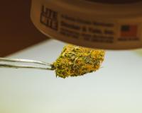 How Long After Cannabis Is a Pilot Safe to Fly? Nobody Knows Yet.