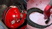 Arkansas football player finds venomous snake in football helmet during practice