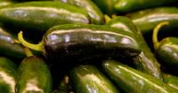 What’s Going on With Salmonella Outbreak Linked to Jalapeños, And Should You Avoid Certain Foods?