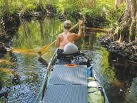 Navigating the black water