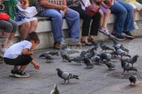 Bulgaria Increasingly Attractive to Turkish Retirees, Media Publication Says