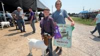 Lyon County Fair Goat Show results