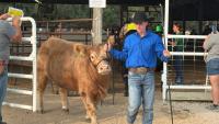 Lyon County Fair Premium Sale results