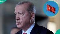 Turkey uncovers scheme reselling Schengen visa slots