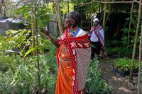 Meet the Indigenous women restoring Kenya’s Mau Forest — and reshaping gender roles