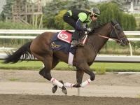 Defending King’s Plate winner Pietro Moran chasing another dream ride on Dixie Law