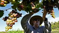 6 thrilling wine regions that prove there is wine life outside the known