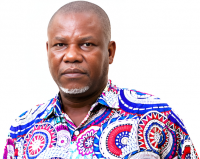 Inadvisability Of Scapegoating Fellow Afric
