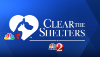 Clear the Shelters | Meet adoptable pets at the SPCA of Brevard