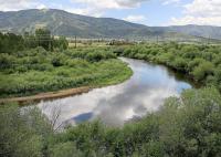 Drought conditions putting Colorado fish at risk