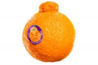 Oppy and AC Foods to bring Australian-grown Sumo Citrus to Canada
