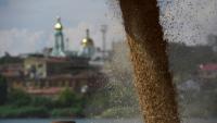 Ukraine's Grain Storage Fills Toward November Crisis as Port and Danube Both Fail